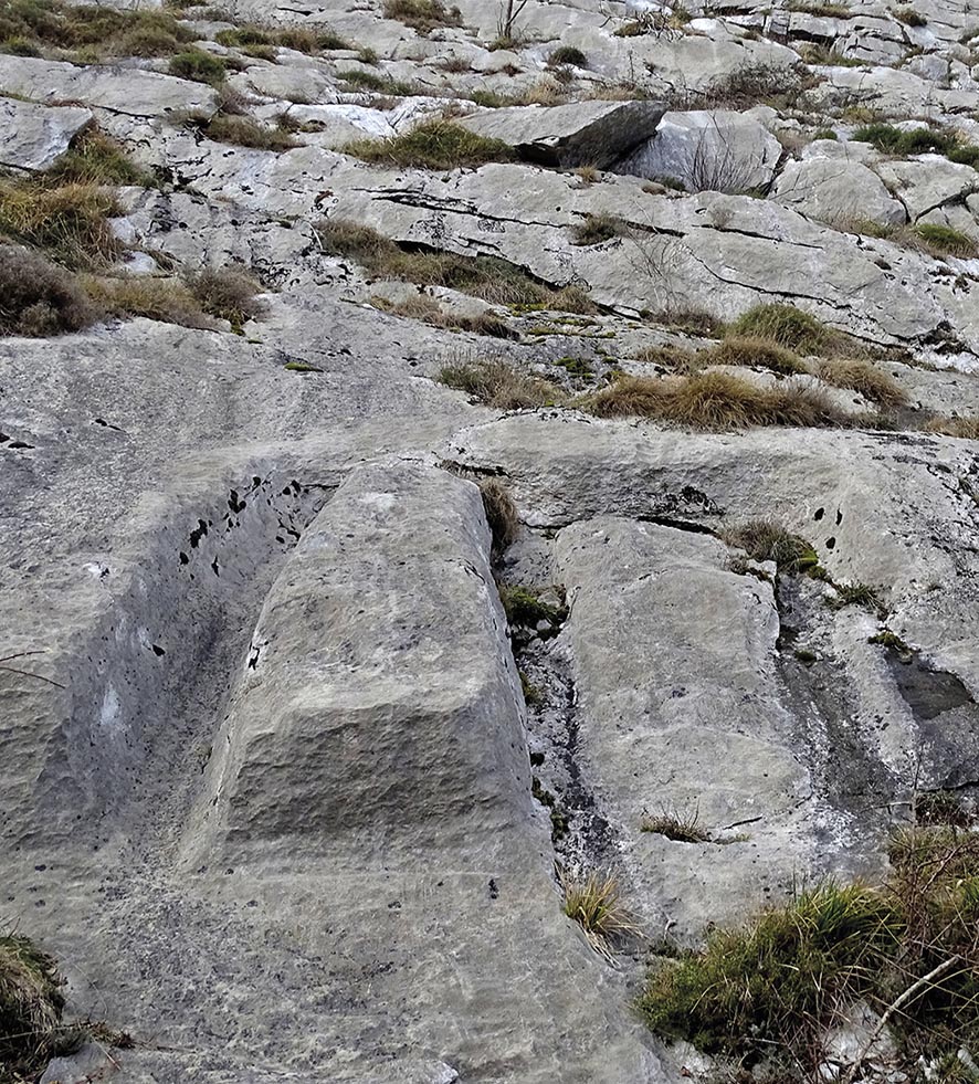 VIGNETTE 08 P22 337 EN VADROUILLE