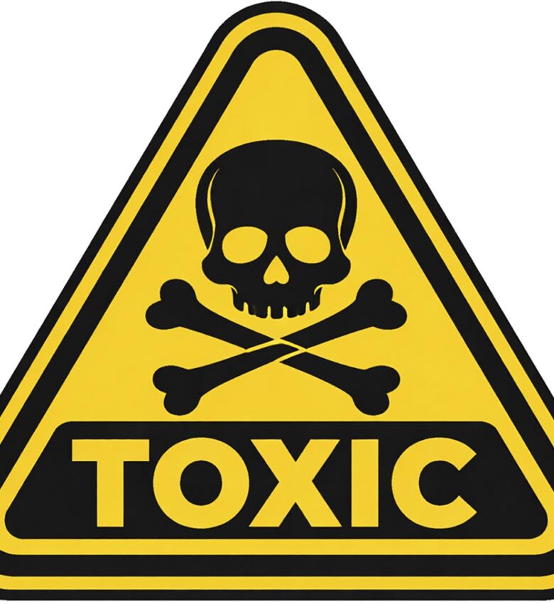 P20 340 FETE TRAVAIL 04