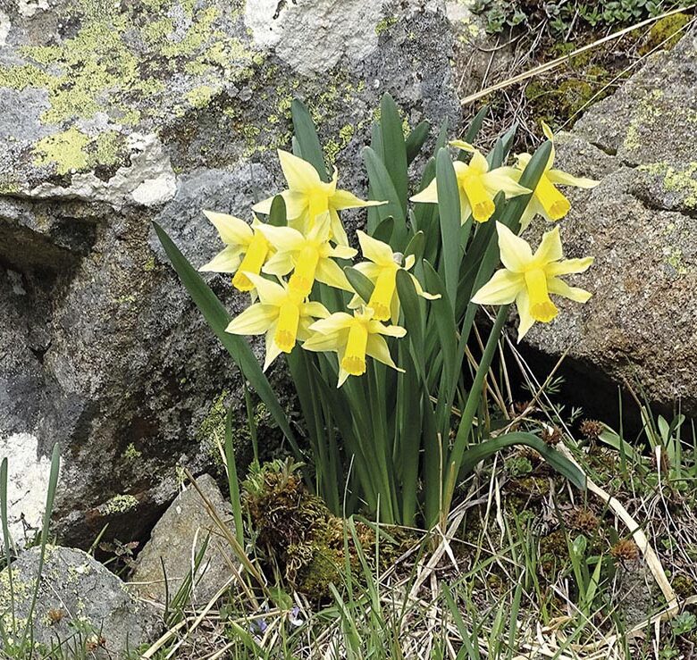 P22 340 EN VADROUILLE 05