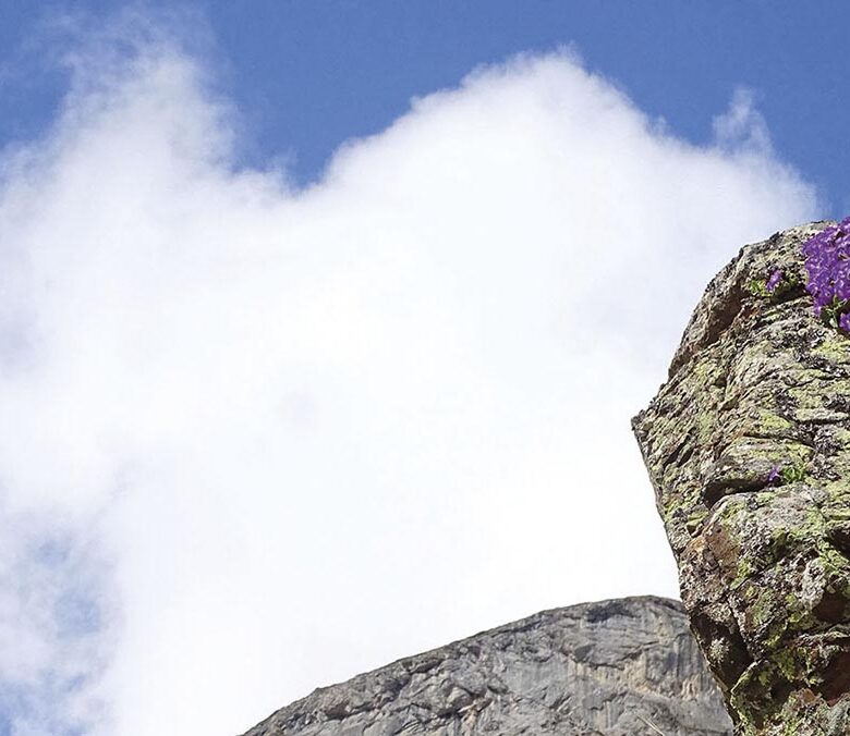 P22 340 EN VADROUILLE 06