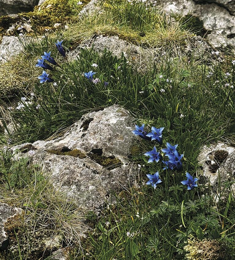 P22 340 EN VADROUILLE 07