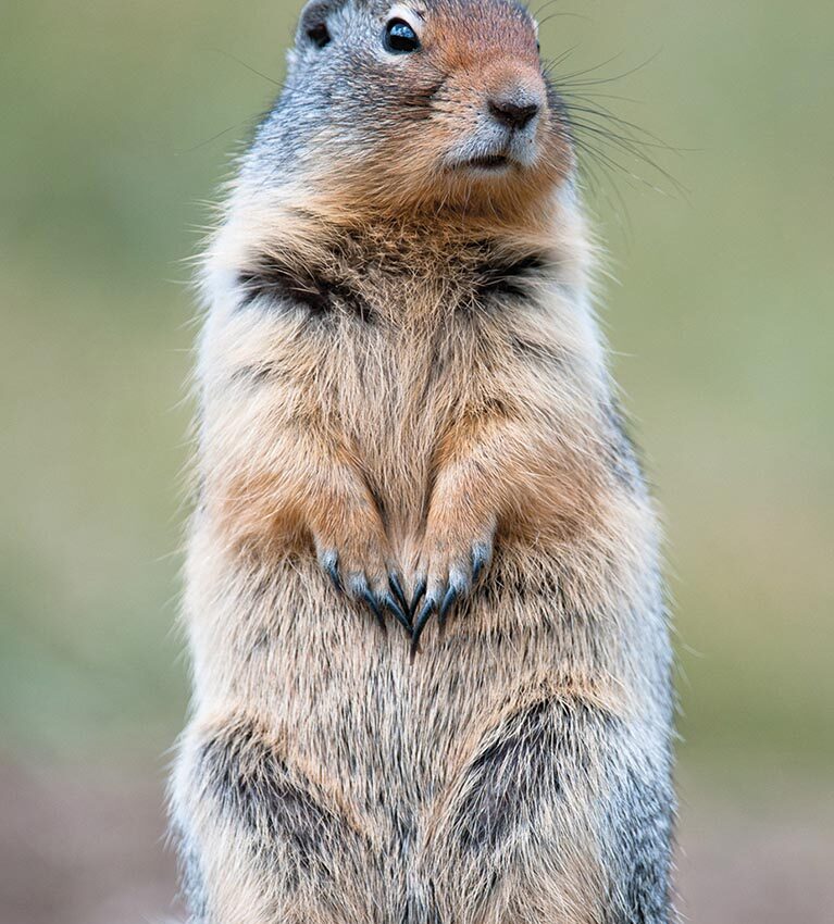 P22 340 EN VADROUILLE 09