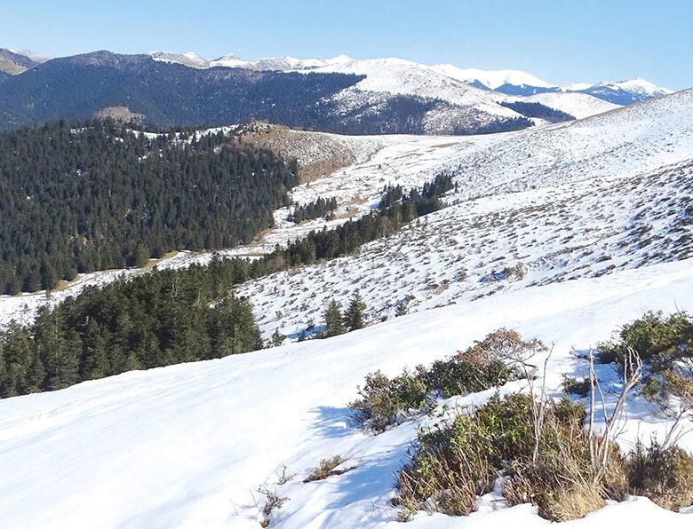 P24 339 EN VADROUILLE 01