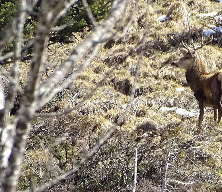 P24 339 EN VADROUILLE 02