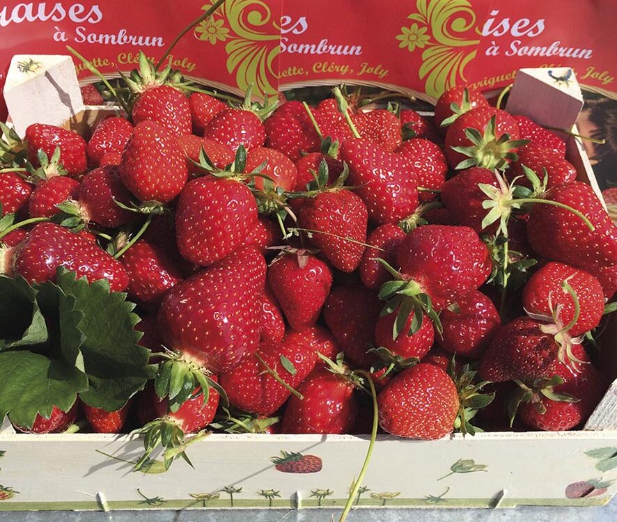 VIGNETTE 03 P13 340 FRAISES