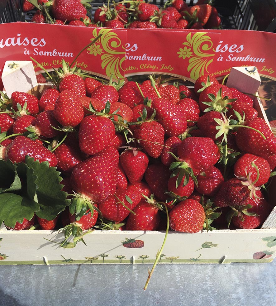 VIGNETTE 03 P13 340 FRAISES