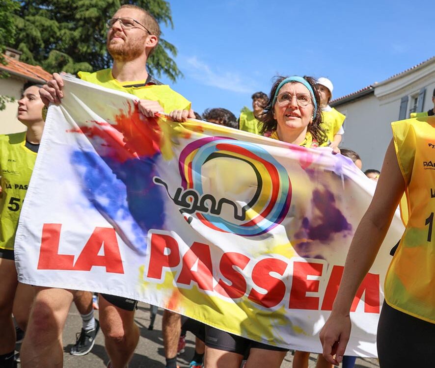 VIGNETTE 07 P18 339 PASSEM