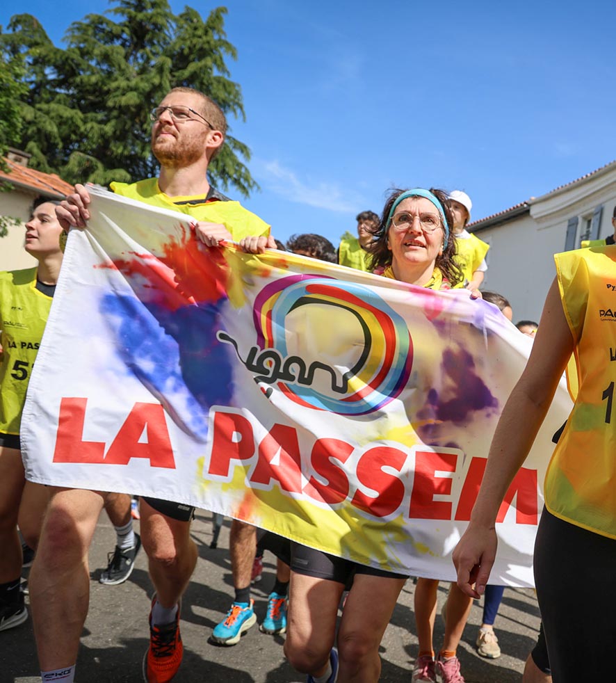 VIGNETTE 07 P18 339 PASSEM