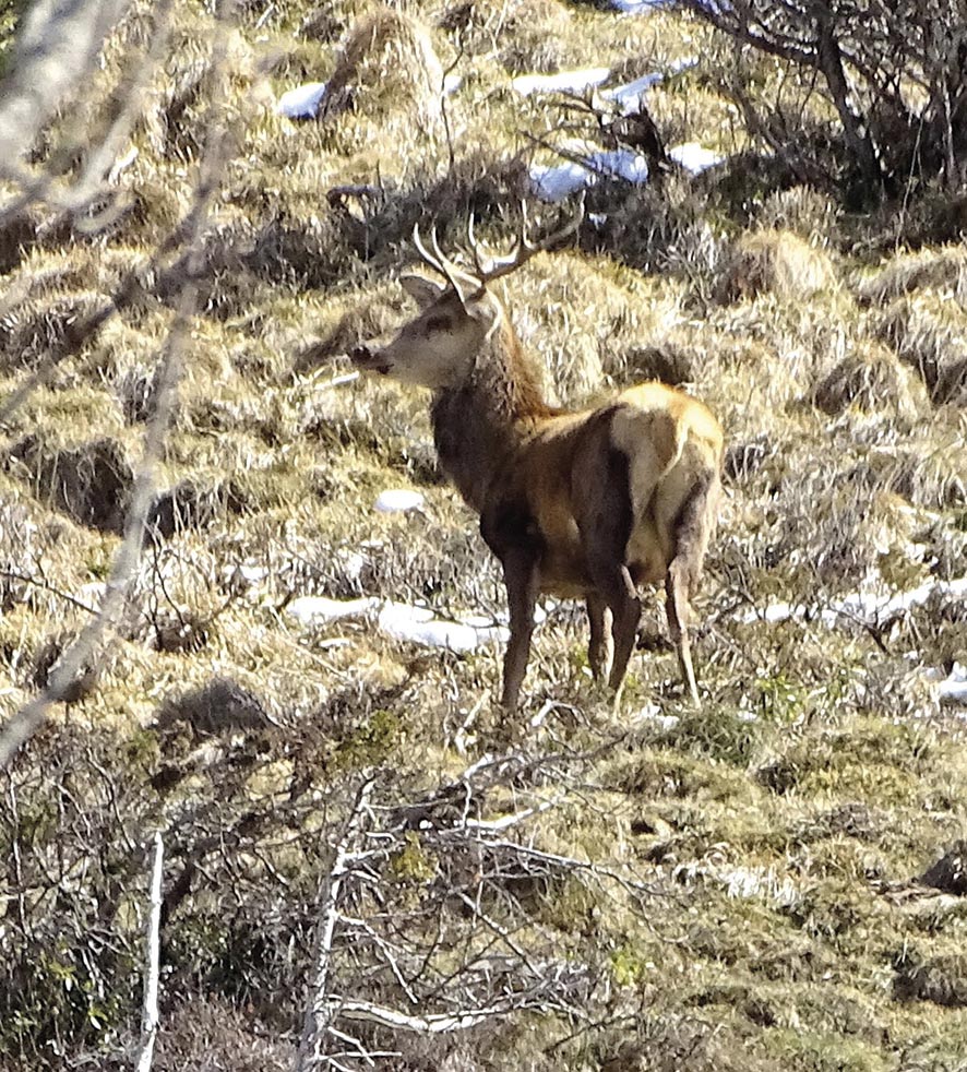 VIGNETTE 08 P24 339 EN VADROUILLE