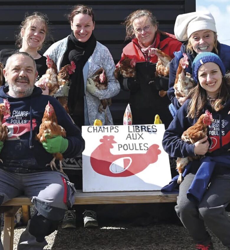 P8 342 POULE 03