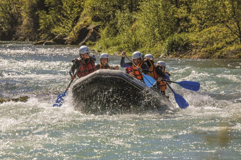 P53 345 CHLOROFIL 02