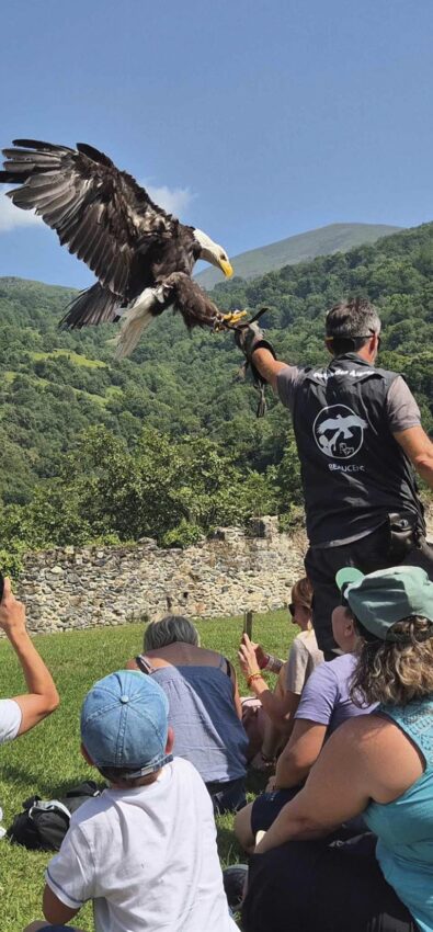 P54 345 DONJON DES AIGLES 02
