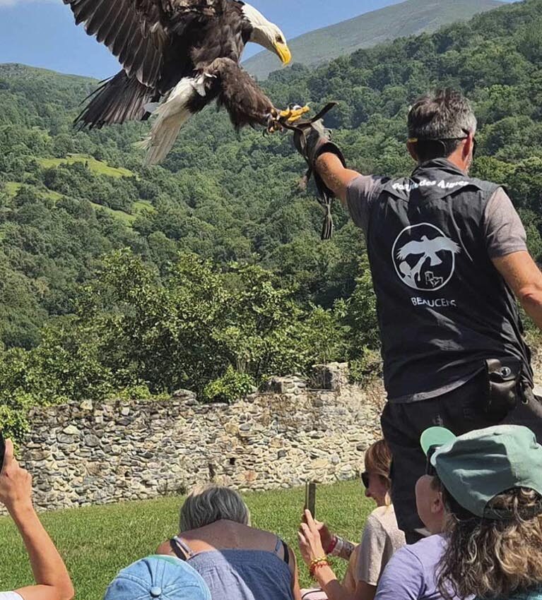 P54 345 DONJON DES AIGLES 02