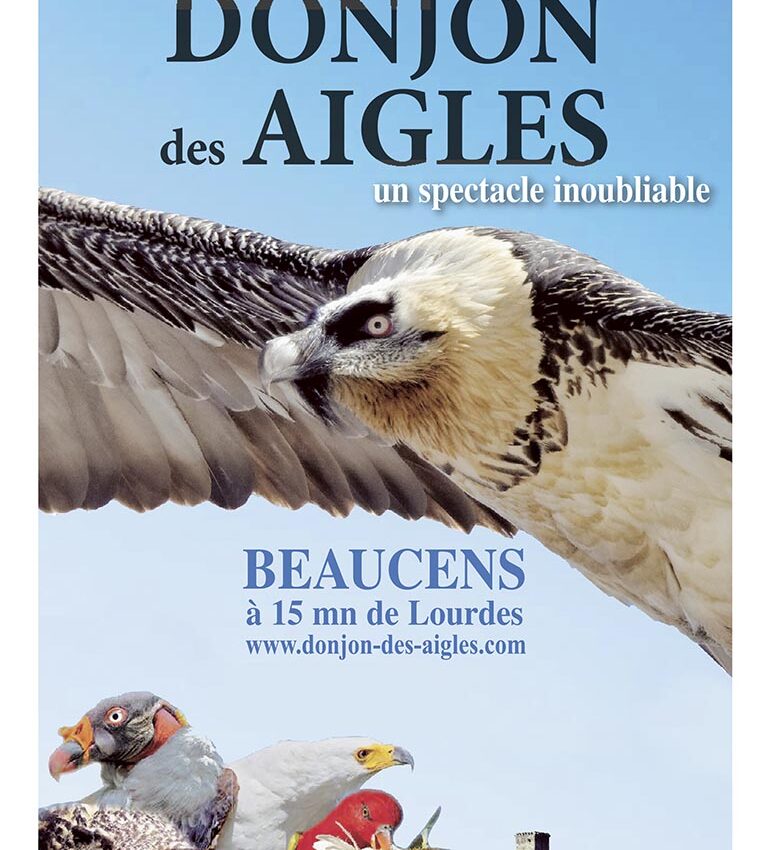 P54 345 DONJON DES AIGLES 03